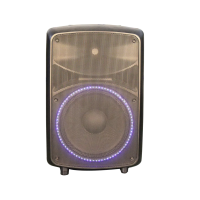Активная акустическая система Leem ABS-15AL-II [300 Вт., 15", MP3, Bluetooth, FM]