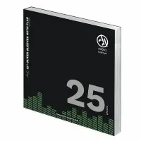 Внешние конверты Audio Anatomy 25 X PVC 12" OUTER SLEEVES - 100 MICRON
