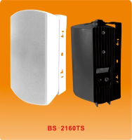 VOLTA BS-2160TS (образец не для продажи) Настенный 2-х полосный громкоговоритель мониторного типа. Мощность 40 Вт\100в Режимы подключения 40Вт-20Вт-10Вт-5Вт - 8 Ом, 60-20000Гц, 195*310*195мм, 3,7кг, цвет - белый, 2шт. в коробке: 55,7х27х42,5см.