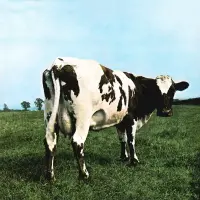 Виниловая пластинка Pink Floyd - Atom Heart Mother (Black Vinyl LP)