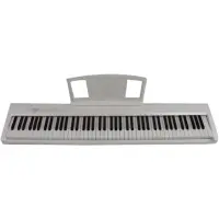 Цифровое пианино ARAMIUS APS-110 WH