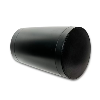 Акустическая система SVS Audiotechnik PAF-PW6B PRO [всепогодная, трансляционная, подвесная, 5/10/20/40 Вт, 70/100 В, 6", IP65]