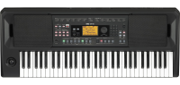 KORG EK-50 синтезатор с автоаккомпанементом 61 клавиша, полифония 64 голоса,...