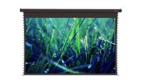 Экран моторизированный ViewScreen Regal (16:10) 877*578 (861*538) PW, black casing  (с пультом)