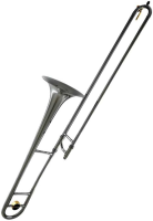 Тромбон Bb CarolBrass Legendary CTB-2209-YST-YNNY-Y3-BG