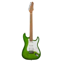 Aion H-10 dark green электрогитара