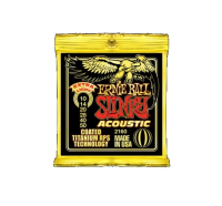 Ernie Ball P02160 - Струны для акустических гитар