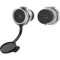 ROXTONE RAUC24-C Разъем панельный Type-C, Корпус из цинкового сплава, Контакты: позолоченная бронза.Цвет: серебро.