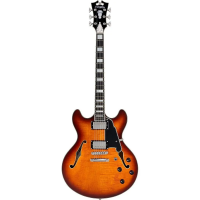 D'angelico premier ss dark iced tea burst
