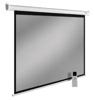 Дисконт Экран Cactus SIlverMotoExpert CS-PSSME-200x150-WT (арт.355913)