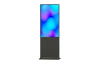 Информационный киоск Lumien [LIK55] серии Info,  диагональ 55", Windows, яркость 350 кд/кв.м, контрастность 4000:1, проекционно-емкостная технология сенсора
