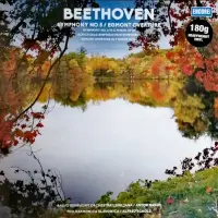 Виниловая пластинка Ludwig van Beethoven - Symphony 5 and Egmont Overture (180 Gram Black Vinyl LP)