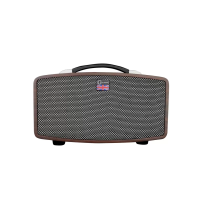 STINGRAY D5 Цифровой гитарный усилитель. Питание от сети или от литиевой батареи. , шт