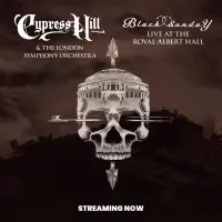 Виниловая пластинка Cypress Hill - Black Sunday Live At The Royal Albert Hall (Black Vinyl 2LP)