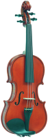 Violin Gliga Gems1 AW-V110 - Продвинутая ученическая скрипка ручной работы. Умеренно волнистый клен. Аксессуары из черного дерева.
