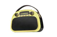 Радиоприемник Ritmix RPR-040 Lemon
