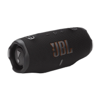 Портативная акустика JBL CHARGE 6 BLK [черный]