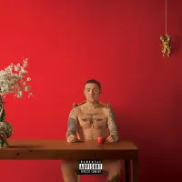 Виниловая пластинка Mac Miller - Watching Movies With The Sound Off (Brown Vinyl 2LP)
