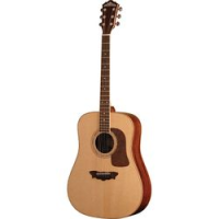Washburn D52SWK (Уценка)  акустическая гитара Dreadnought