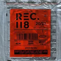 Виниловая пластинка Rec. 118 20/21