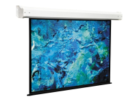 Экран моторизированный ViewScreen Plato (4:3) 366*277 (356*267) MW