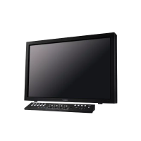 DP-V3010 дисплей Canon