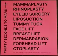 Виниловая пластинка Thirty Seconds To Mars, AMERICA