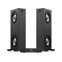 Amphion BaseTwo25 System  комплект (2 студийных сабвуфера + усилитель)