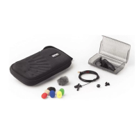 DPA KIT-4071-OL-EMK комплект для внестудийной репортажной работы