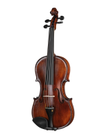 P-V044-F Professional Gama Special Скрипка 4/4, Gliga