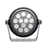 IP-1210 Светодиодный прожектор смены цвета, 12х10Вт, LFocus