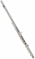 Флейта Powell Sonaré PS75CGF-40614-2-0