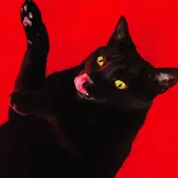 Виниловая пластинка Ryan Adams - Big Colors (Coloured Vinyl 7" LP)