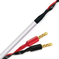 Акустический кабель Wire World Stream 10 Speaker Cable Pair (BAN-BAN) (STS3.0MB-10) 3.0m