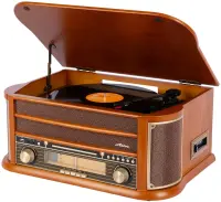 Виниловый проигрыватель Alive Audio OLDTIMER Wood