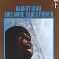 Виниловая пластинка Albert King - Live Wire/ Blues Power (Analogue, Acoustic Sounds) (Black Vinyl LP)