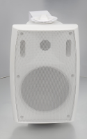 SVS Audiotechnik WS-60 White Громкоговоритель настенный, динамик 8", драйвер 1", 50Вт (RMS)