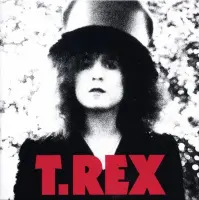Виниловая пластинка T. Rex - The Slider (coloured) (Сoloured Vinyl LP)