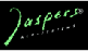 JASPERS / Германия