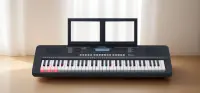 IK110 Синтезатор, 61 клавиша, Medeli
