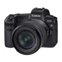 EOS R RF 24-105 F4-7.1 IS STM фотоаппарат Canon