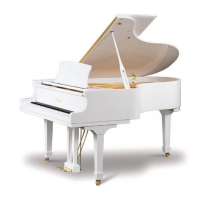 Pearl river p9 (a112)  акустический рояль, длина 160 см, цвет белый полированный