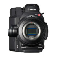 EOS C300 Mark II камера Canon