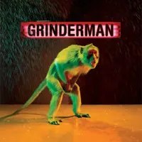 Виниловая пластинка Grinderman - Grinderman (Black Vinyl LP)