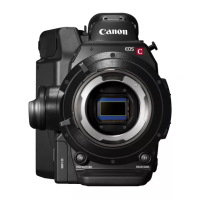 EOS C300 Mark II PL камера Canon