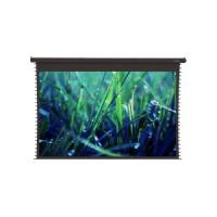 Экран моторизированный ViewScreen Regal (16:9) 624*382 (608*342) PW, black casing  (с пультом)