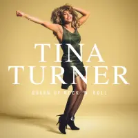 Виниловая пластинка Tina Turner - Queen Of Rock 'N' Roll (Box) (Black Vinyl 5LP)