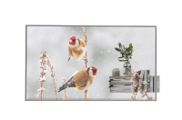 LG 55EW5P-M- Прозрачный 55" OLED-дисплей 1080p120 для создания видеостен, 200/600 кд/м², шов 12,2 мм