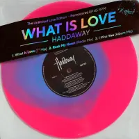 Виниловая пластинка Haddaway - What Is Love (EP) (V10) (Fluorescent Blue-in-Pink Vinyl LP)