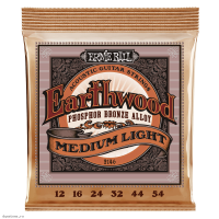 ERNIE BALL 2146 Earthwood Phosphor Bronze Medium Light 12-54 - Струны для акустической гитары